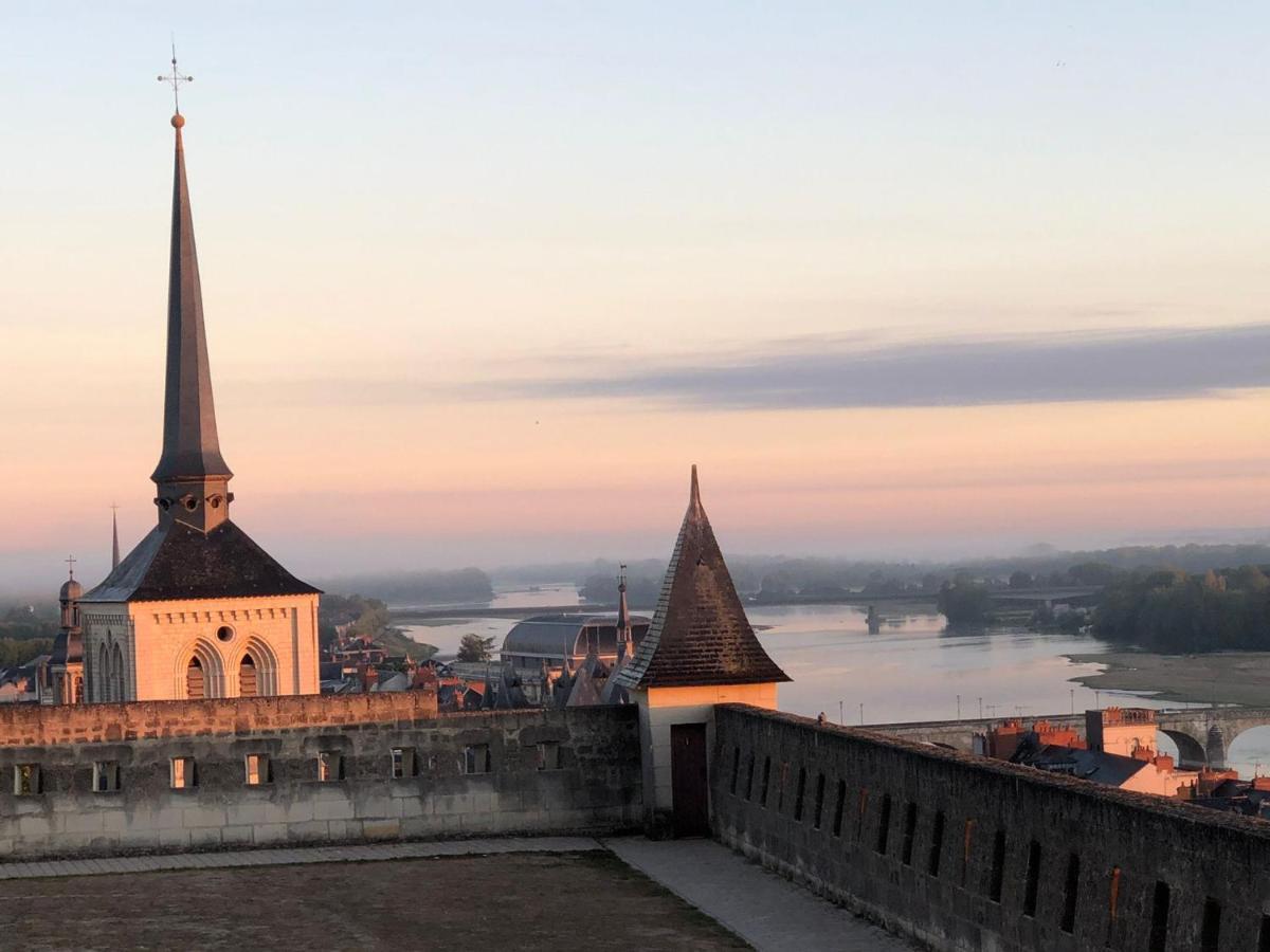 Bulles De Loire Bed & Breakfast Saumur Bagian luar foto